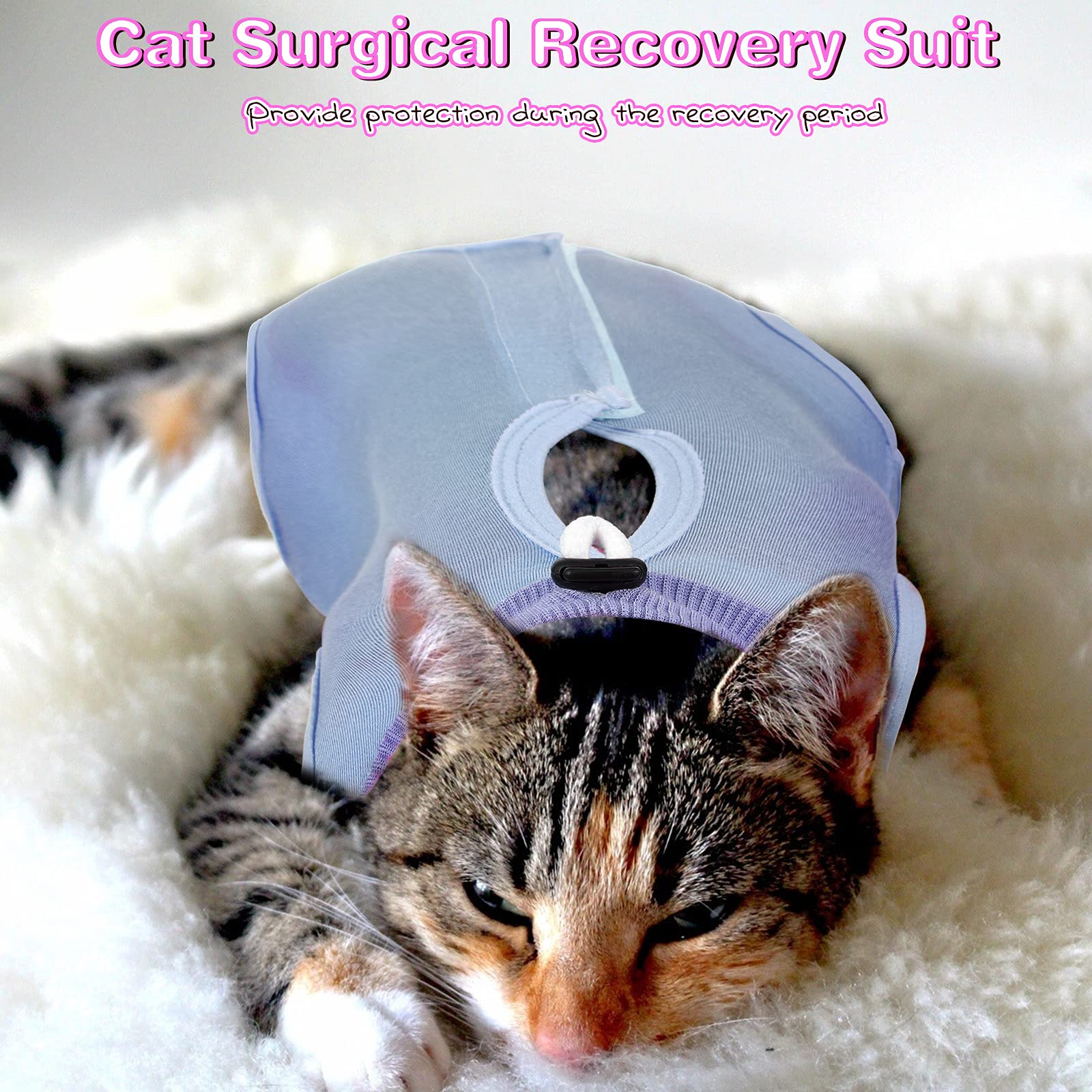 Nuanchu traje de recuperación para gatos azul, espalda, incluye tres piezas