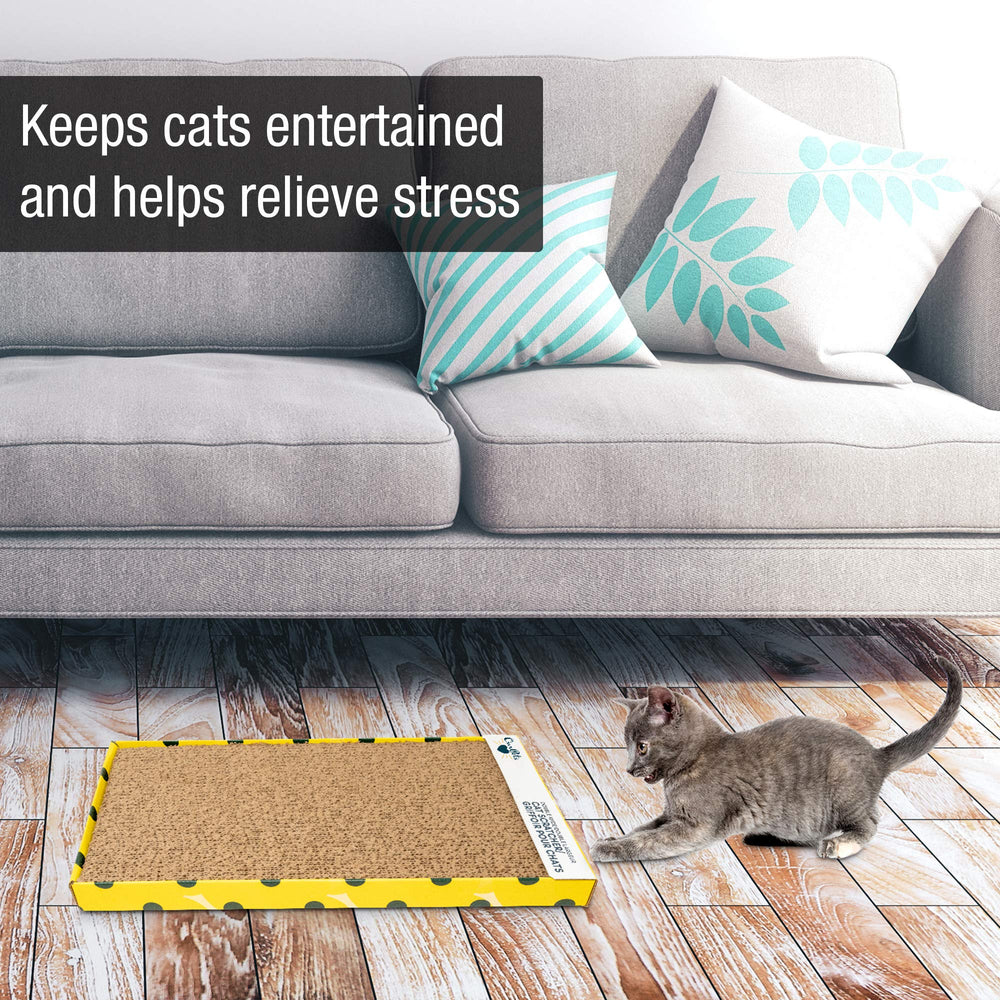 Incluye hierba aromática premium para gatos, aroma que estimula el juego