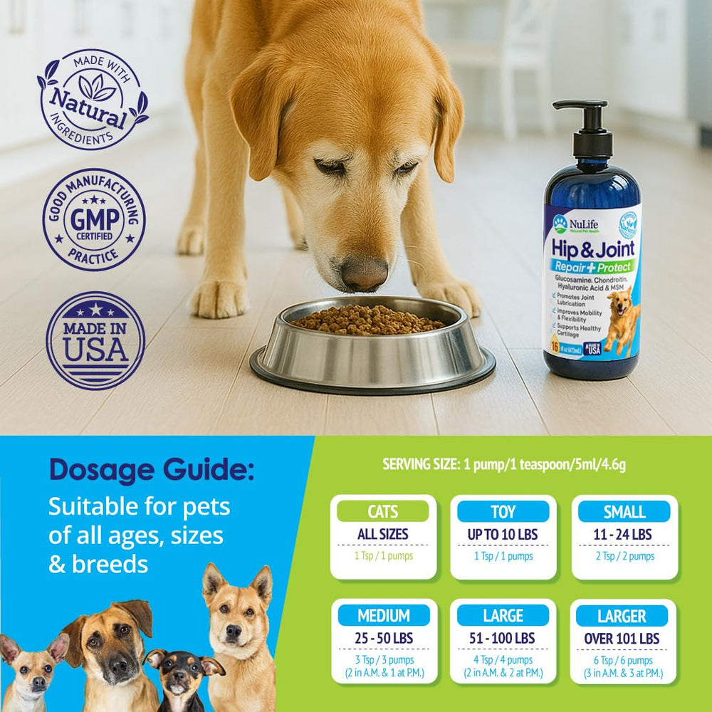 NuLife Natural Pet Health, perro feliz corriendo, articulaciones apoyadas en uso diario.