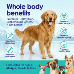 Cuidado de la piel del perro y pelaje suave con NuLife Omega 3.