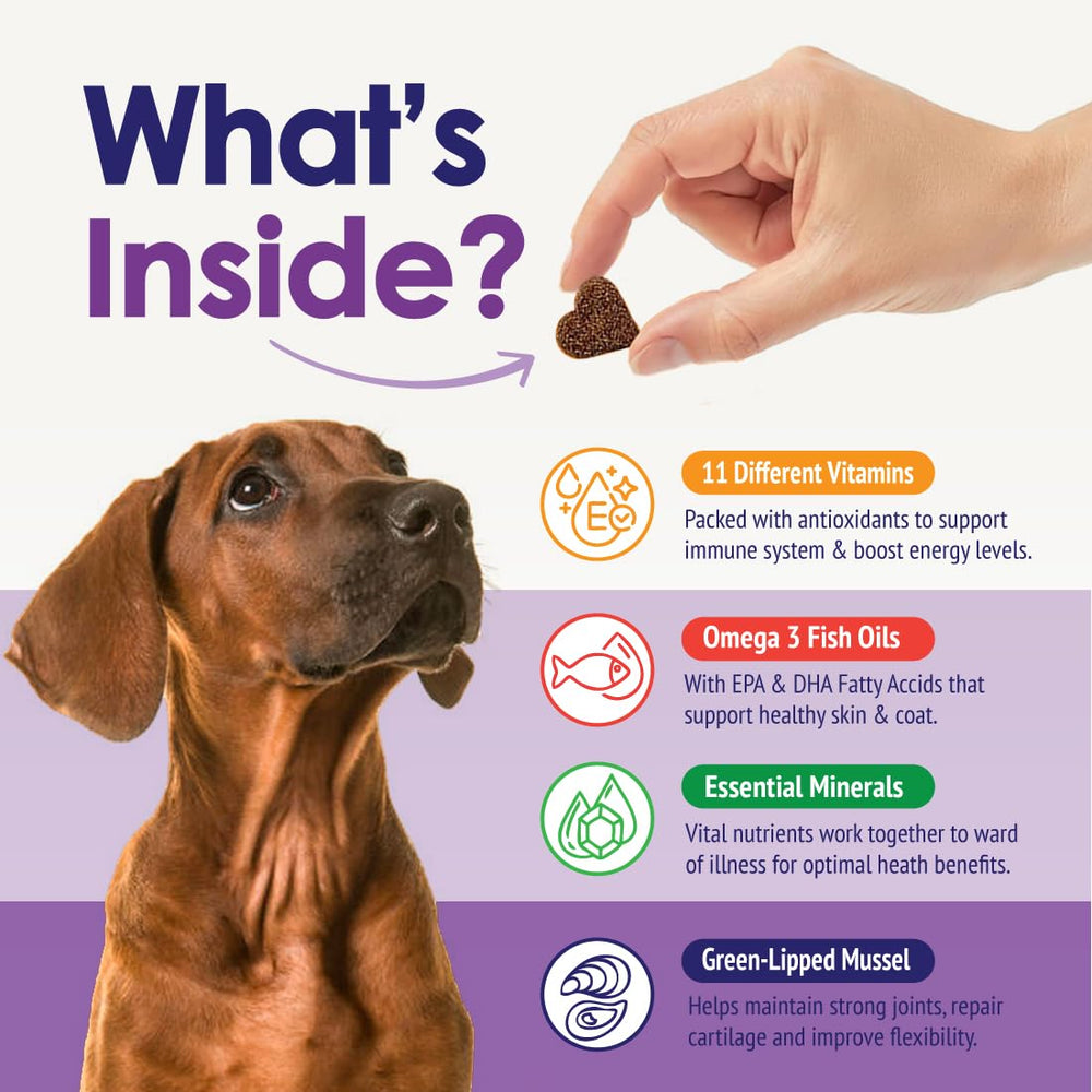 NuLife omega-3: apoyo para piel y pelaje saludables del perro.