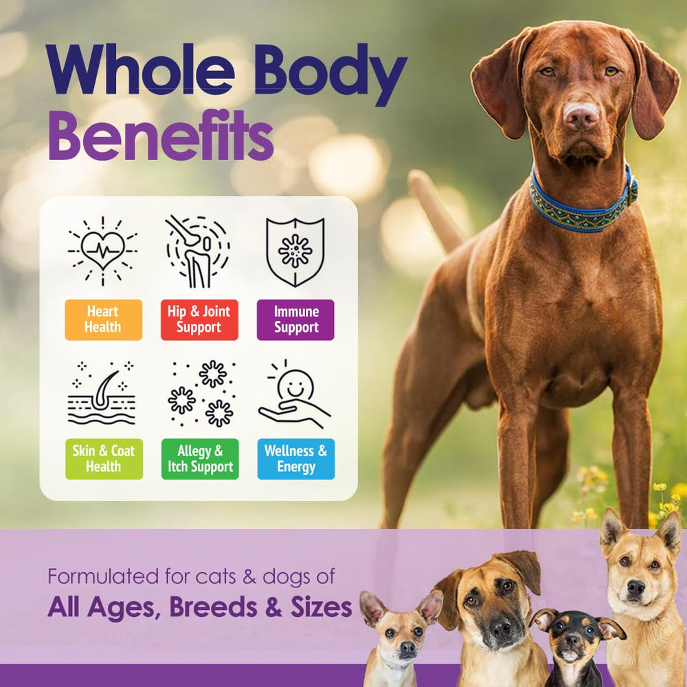 NuLife masticable para perros, perro degustando, facilita la rutina diaria.
