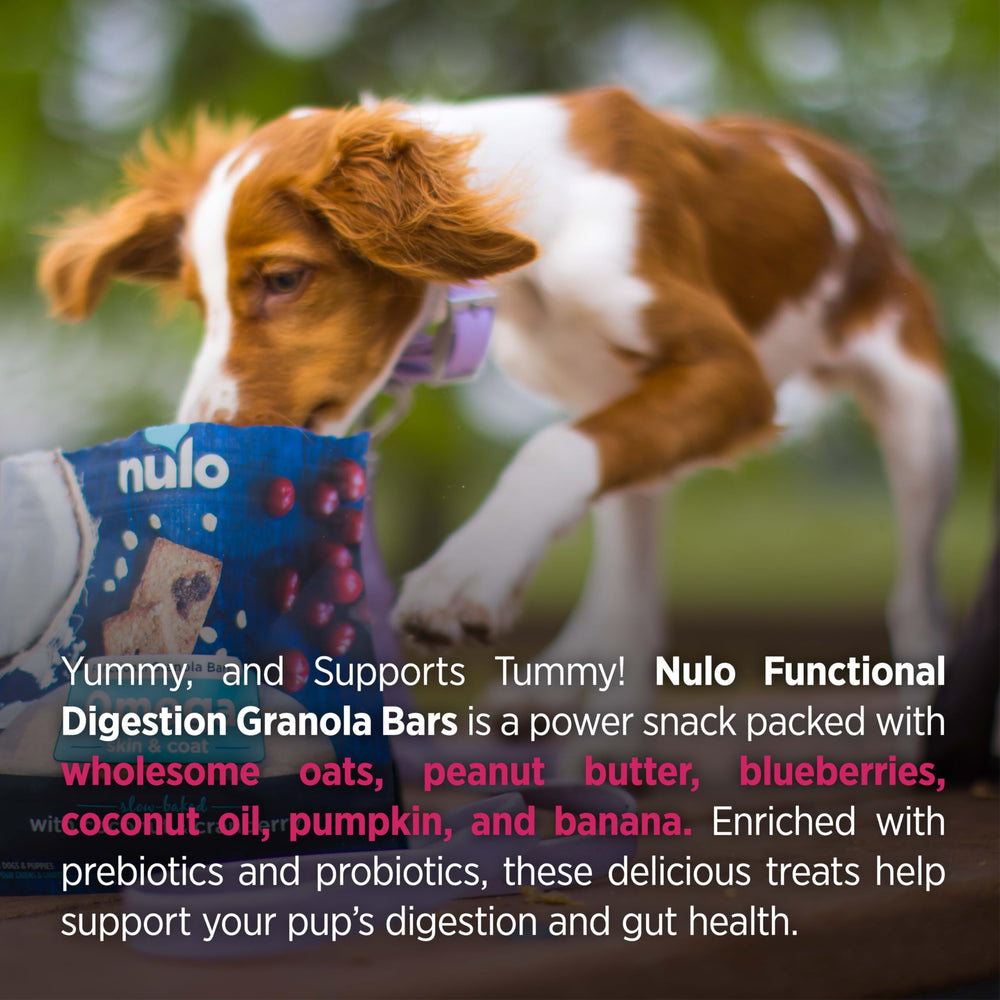 Nulo barra granola funcional perro disfrutando bocado crujiente