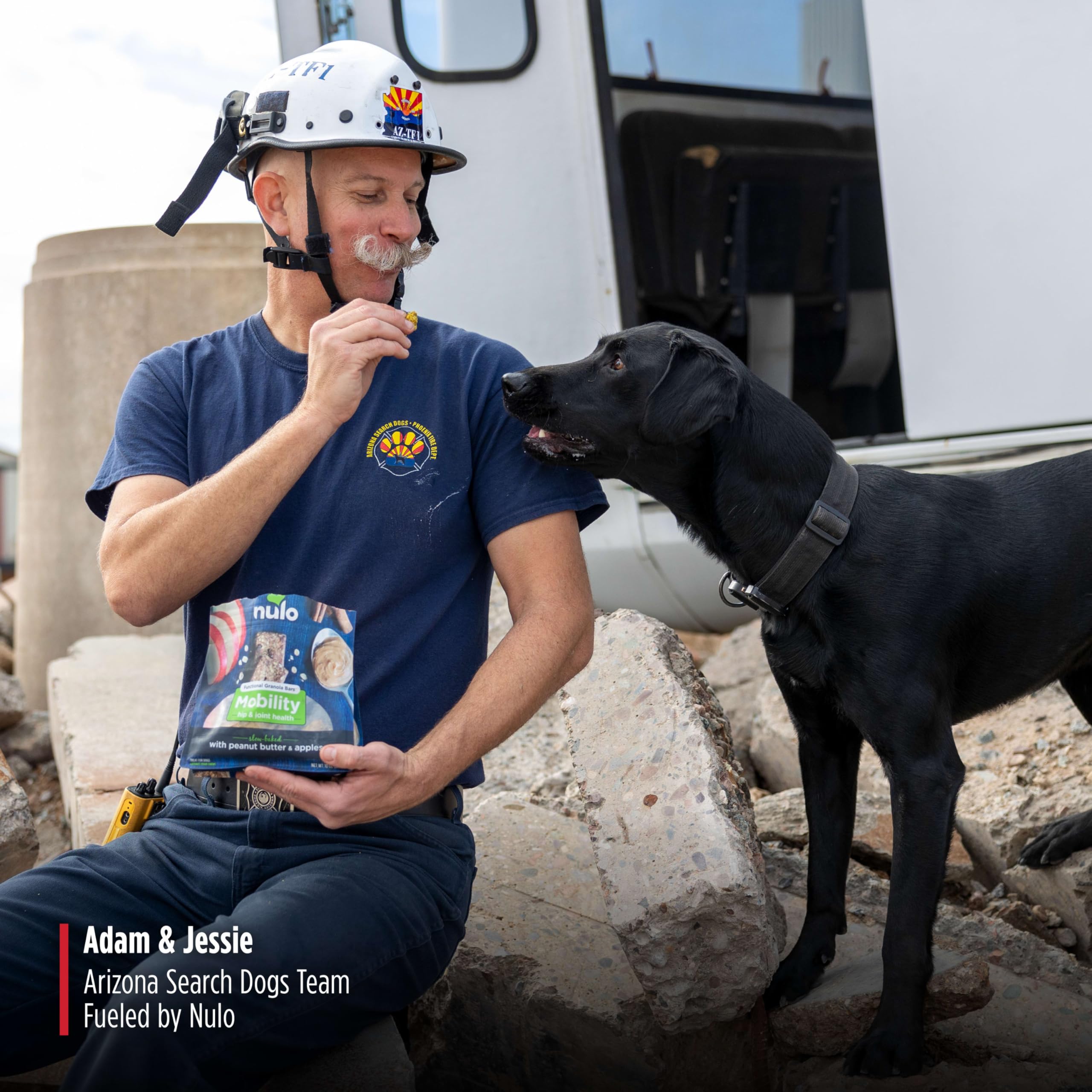 Nulo barra granola funcional sin sal sin azúcar sin melaza: snack limpio para perros