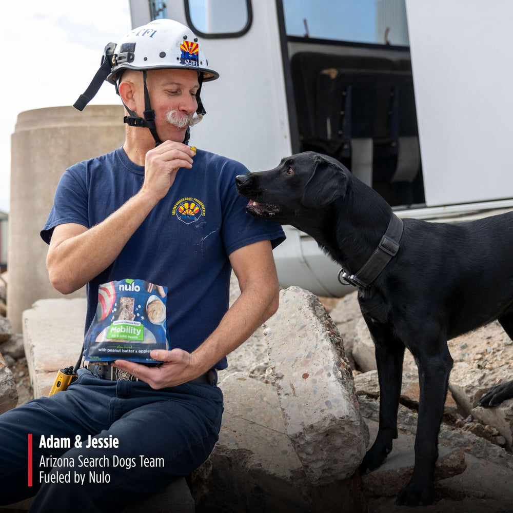Nulo barra granola funcional sin sal sin azúcar sin melaza: snack limpio para perros