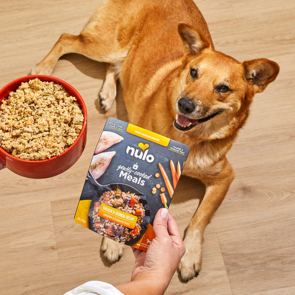 Nulo caldo para hidratación diaria del perro.