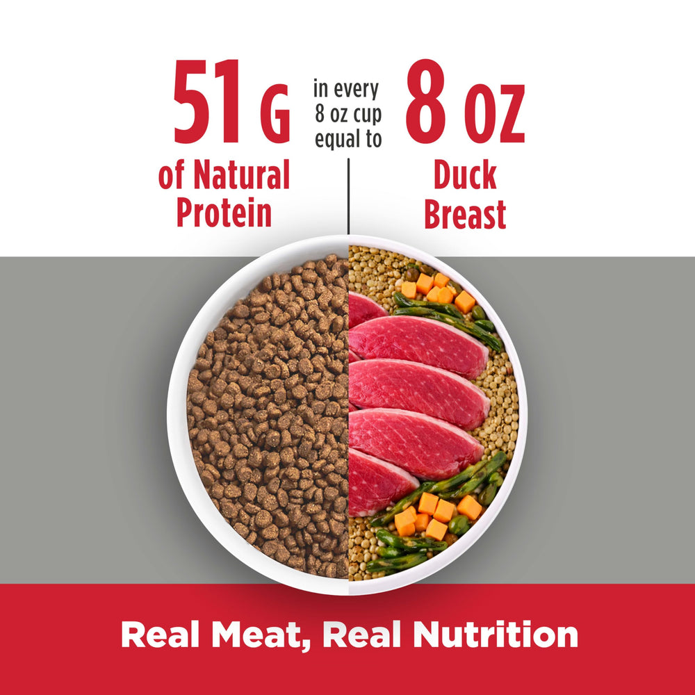 Nulo Freestyle Indoor Chat: formulation sans céréales pour supports nutritionnels propres.