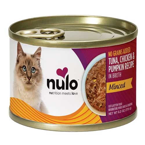 Nulo gato disfruta comida en cuenco con trozos picados.
