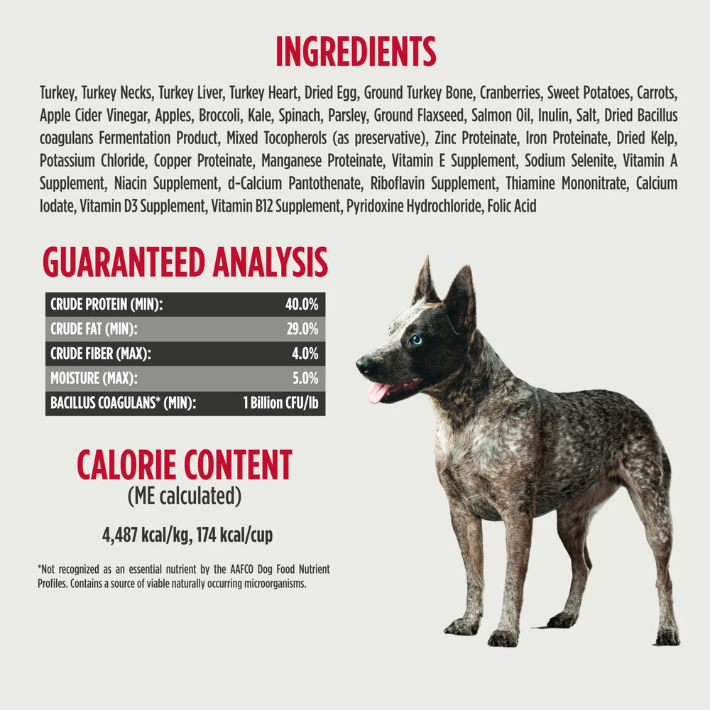 Nulo servir completo con croquetas: plato principal práctico.