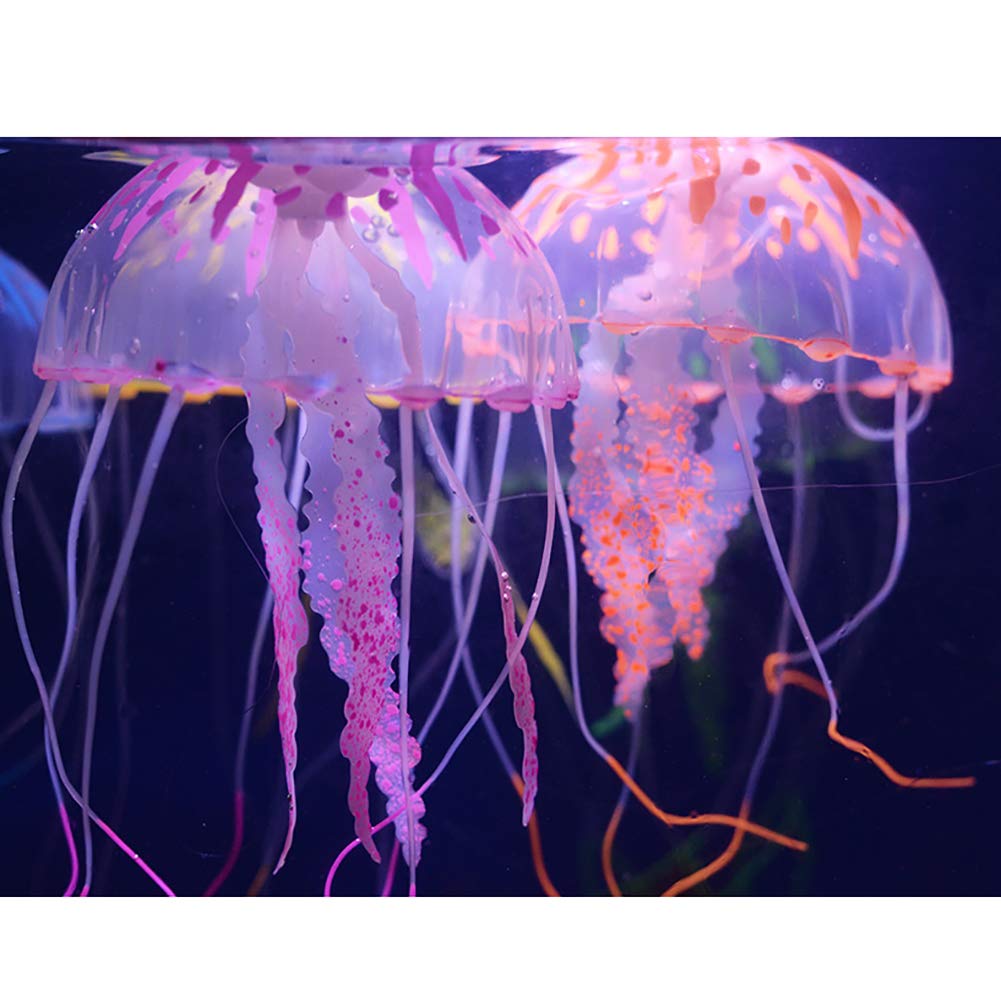 NUOMI hilo transparente de fijación para posicionar medusas con precisión.