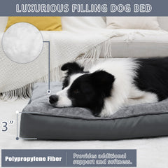 Base antideslizante de la cama NUPIDA, estabilidad para mascotas
