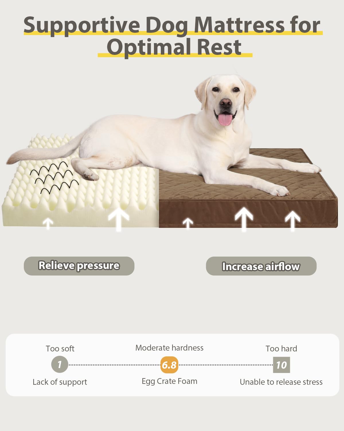Cama extra grande NUPIDA 41x27 pulgadas para perros grandes.