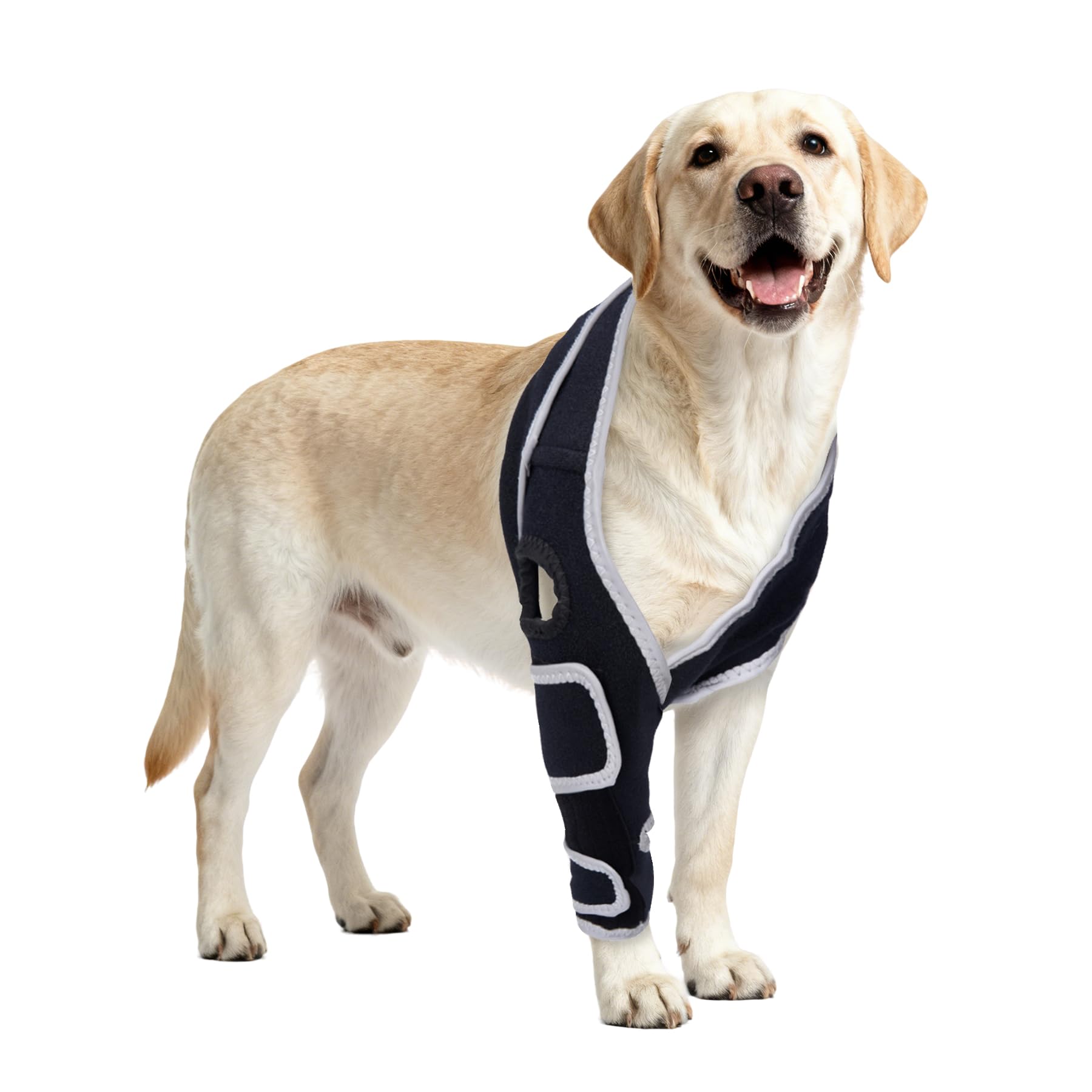 Nurcazo rodillera para perro con ajuste personalizado para mayor comodidad diaria