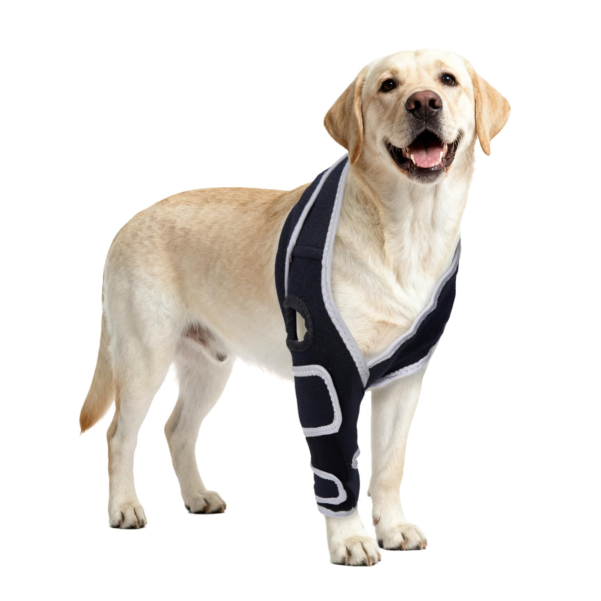 Nurcazo rodillera para perro con ajuste personalizado para mayor comodidad diaria