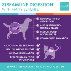 NUSENTIA Enzyme Miracle medidora en cucharilla para dosis fáciles.