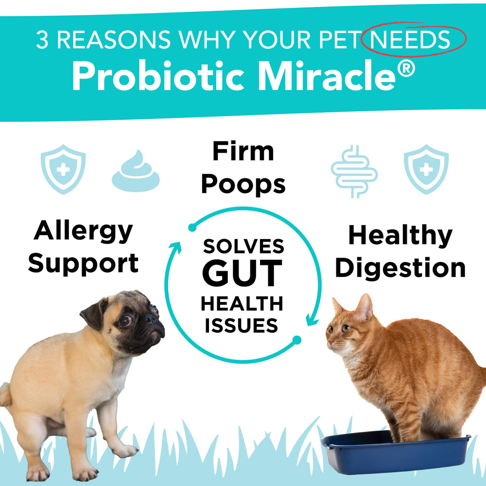Nusentia Probiotics con cucharita de medida para dosis diarias simplificada.