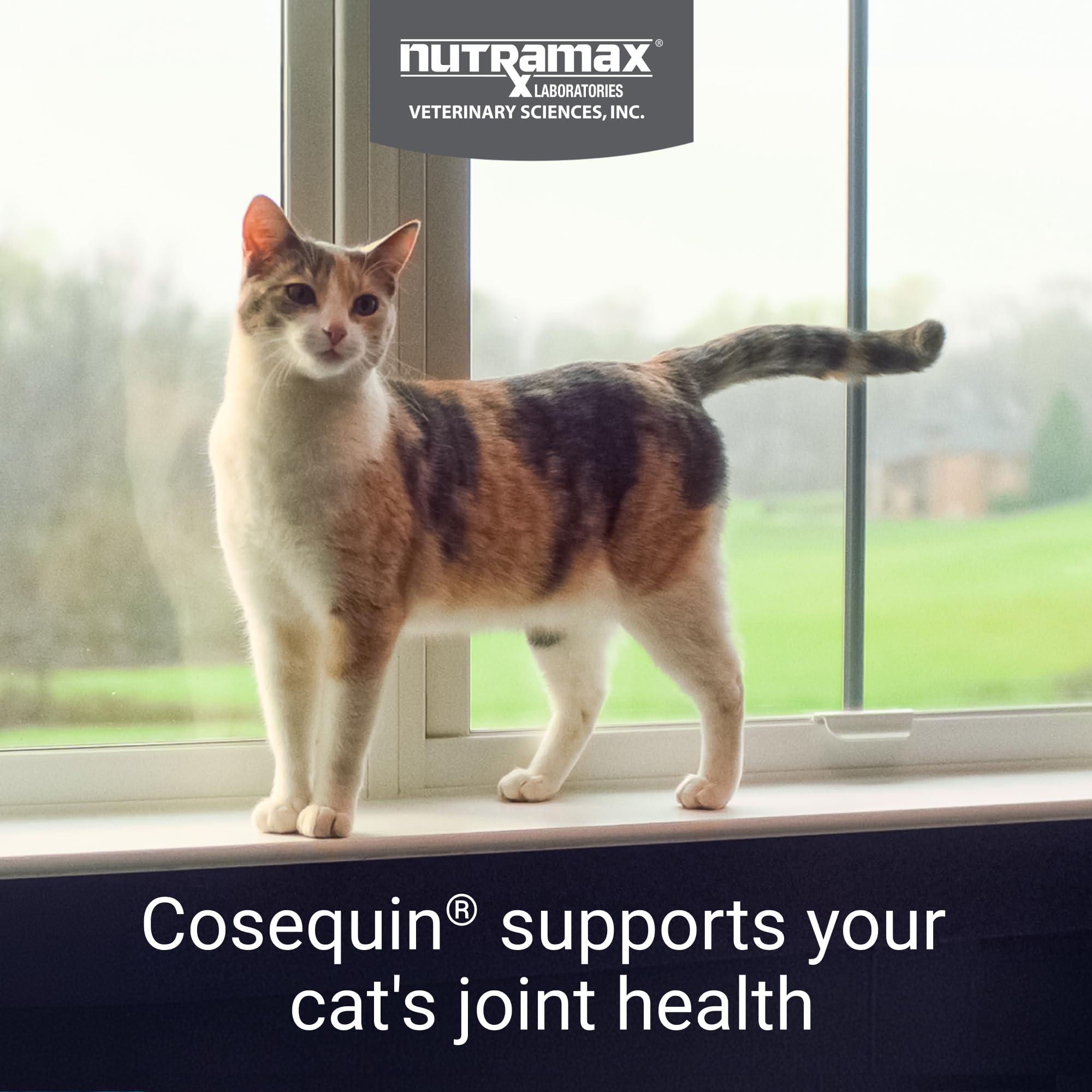 Cosequin para Gatos: hora de la comida espolvoreada para administración fácil.
