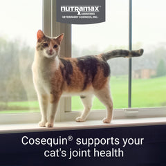 Cosequin para Gatos: hora de la comida espolvoreada para administración fácil.
