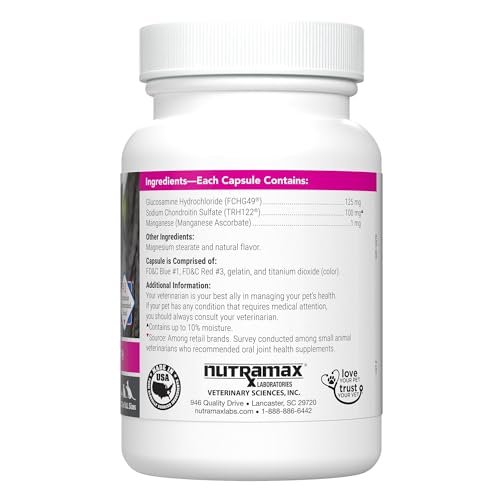 Nutramax Cosequin con glucosamina y condroitina para movilidad felina