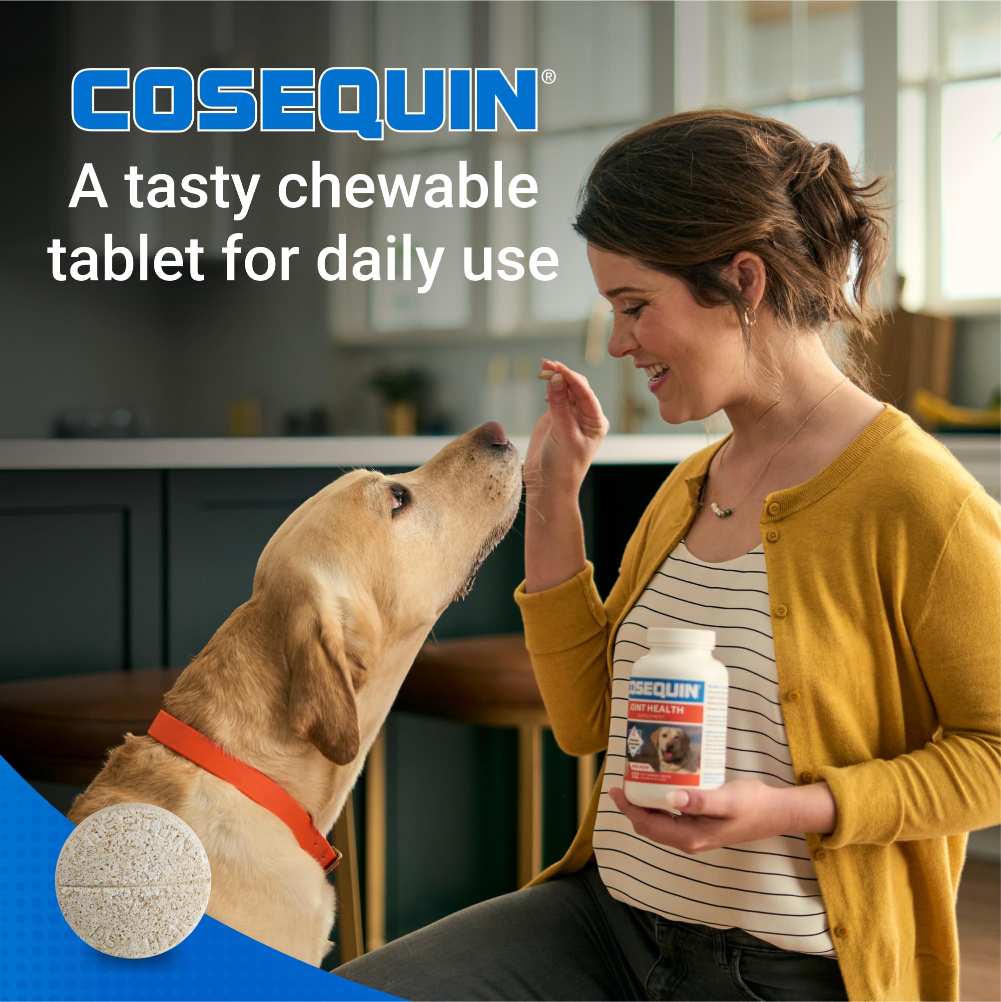Nutramax Cosequin: perro feliz junto a su juguete, rutina diaria.