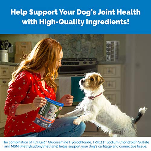 Nutramax Cosequin para perros con glucosamina y condroitina para articulaciones.