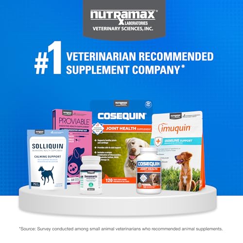 Nutramax Cosequin: presentación de 120 unidades para uso continuo