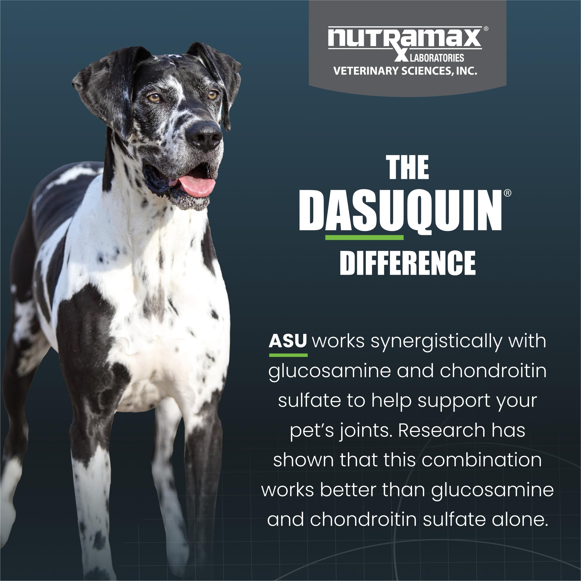 ASU en Nutramax Dasuquin con aguacate y soja, ingrediente único para soporte.