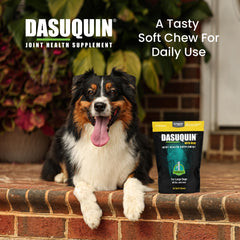 Dasuquin ASU: sinergia entre ASU y glucosamina para perros grandes.
