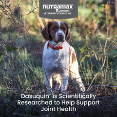 Nutramax Dasuquin envase frontal para uso diario.