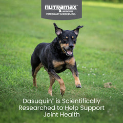 Nutramax Dasuquin glucosamina y ASU en tableta para uso diario