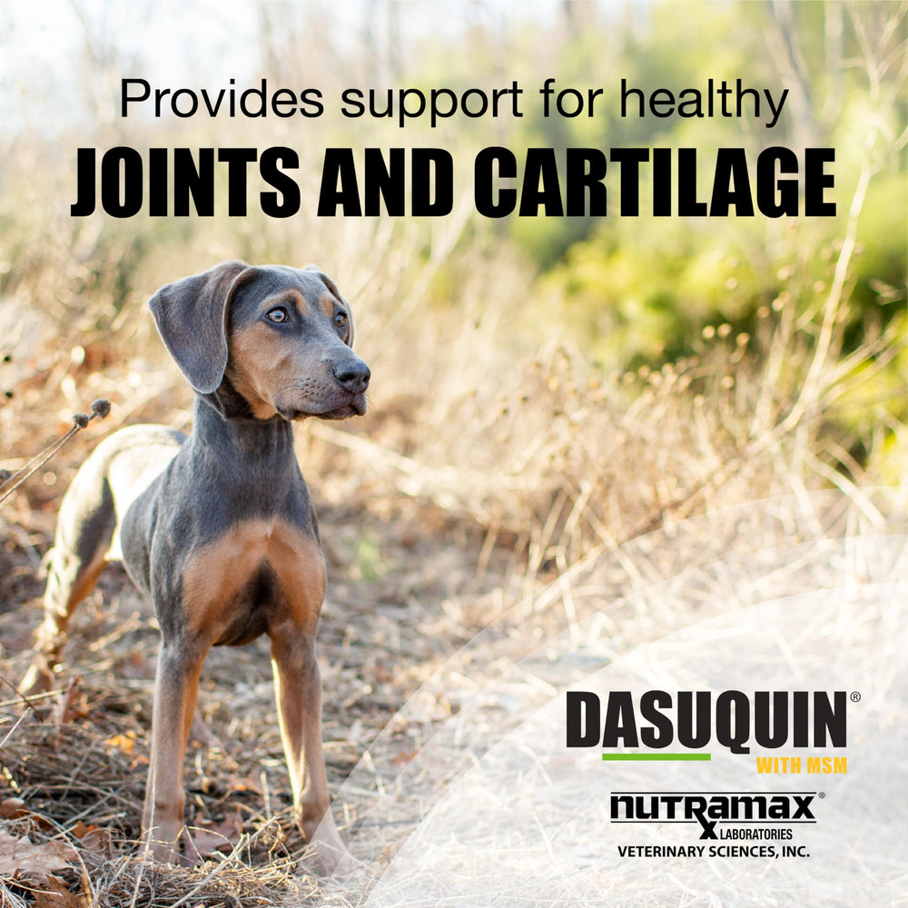Nutramax Dasuquin ingredientes glucosamina, condroitina y ASU para articulaciones