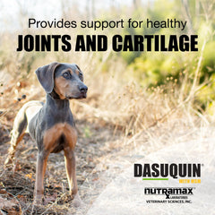 Nutramax Dasuquin ingredientes glucosamina, condroitina y ASU para articulaciones