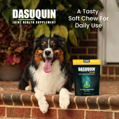 Nutramax Dasuquin para perros: envase y caja de presentación.