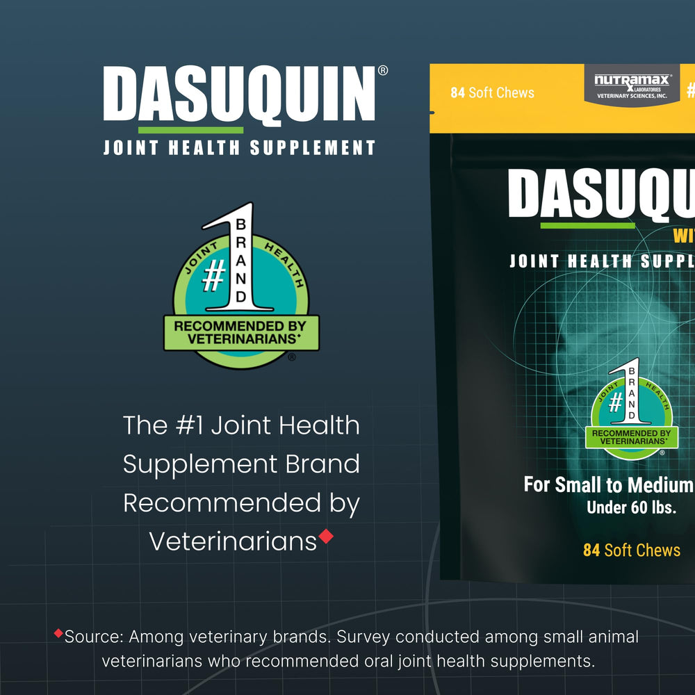 Nutramax Dasuquin para perros: etiqueta de ingredientes y beneficios.