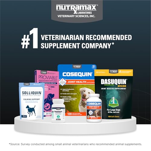 Uso diario recomendado de Nutramax Dasuquin para perros medianos