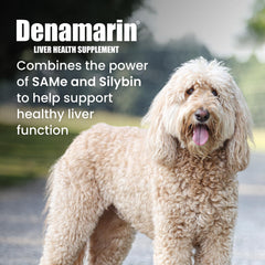 Nutramax Denamarin primer plano de tableta recubierta, posible soporte hepático para perros grandes.