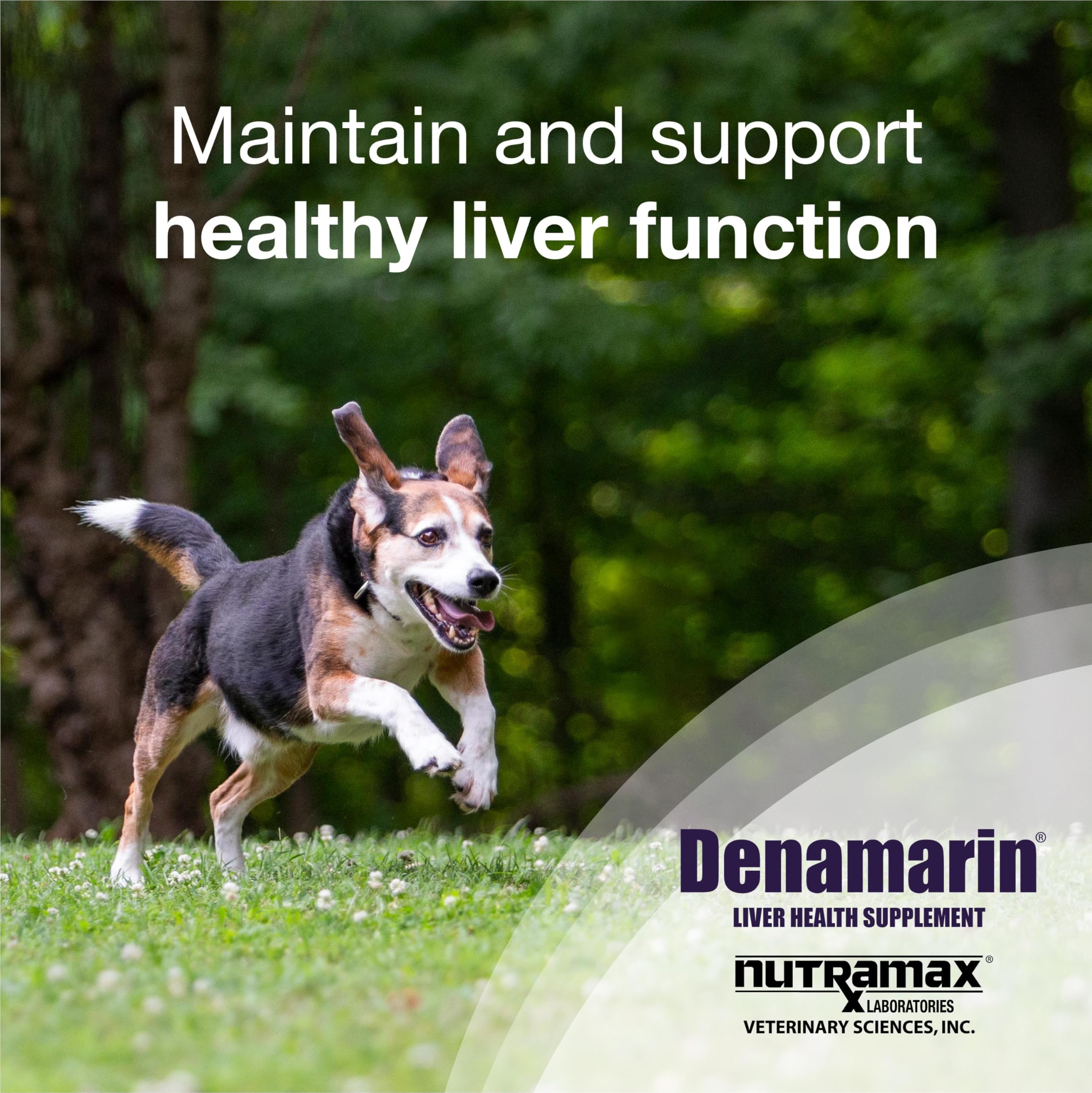 Nutramax Denamarin envase con tabletas para uso diario y apoyo hepático.