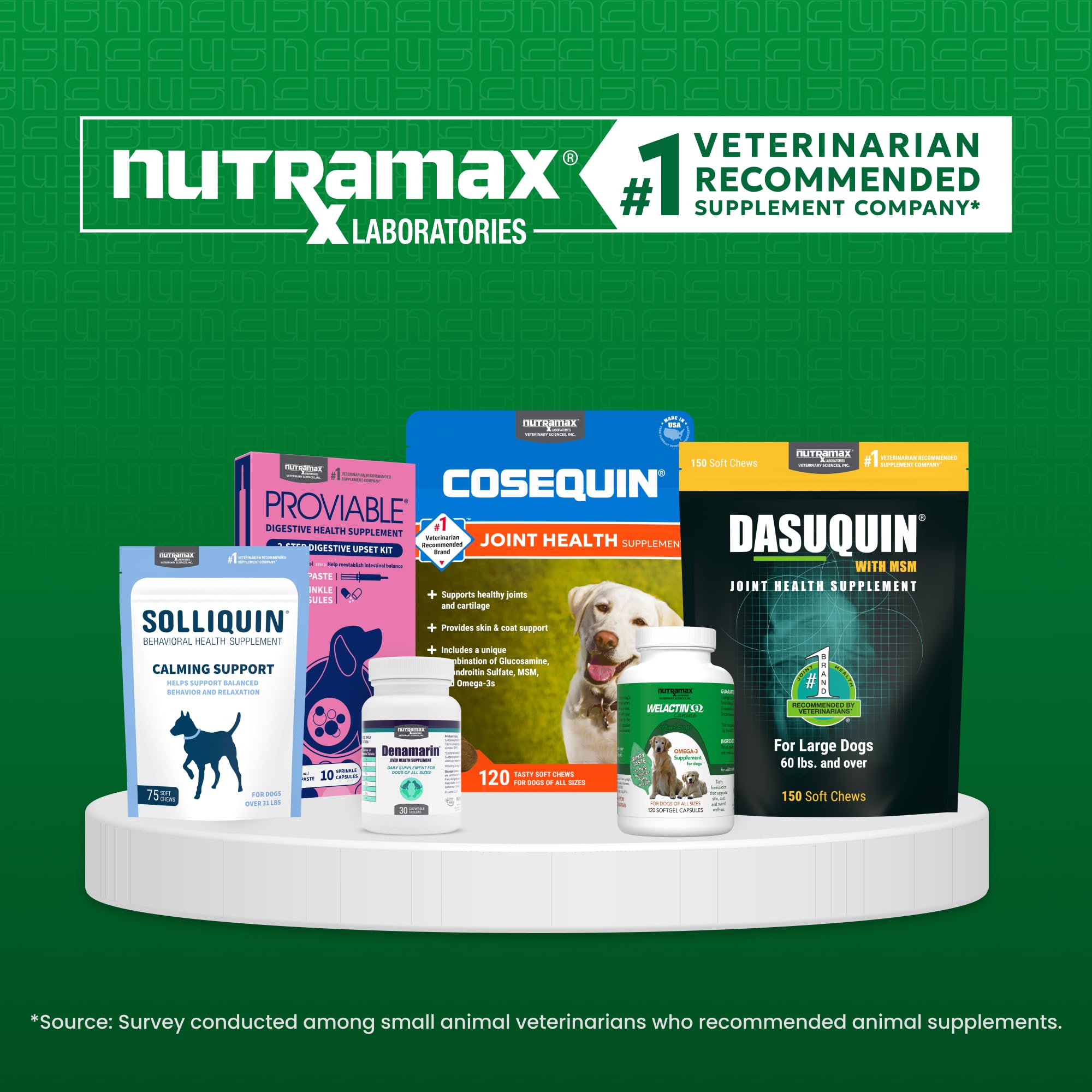 Nutramax Denamarin tabletas recubiertas listas para uso, enfoque práctico para suplementos caninos.