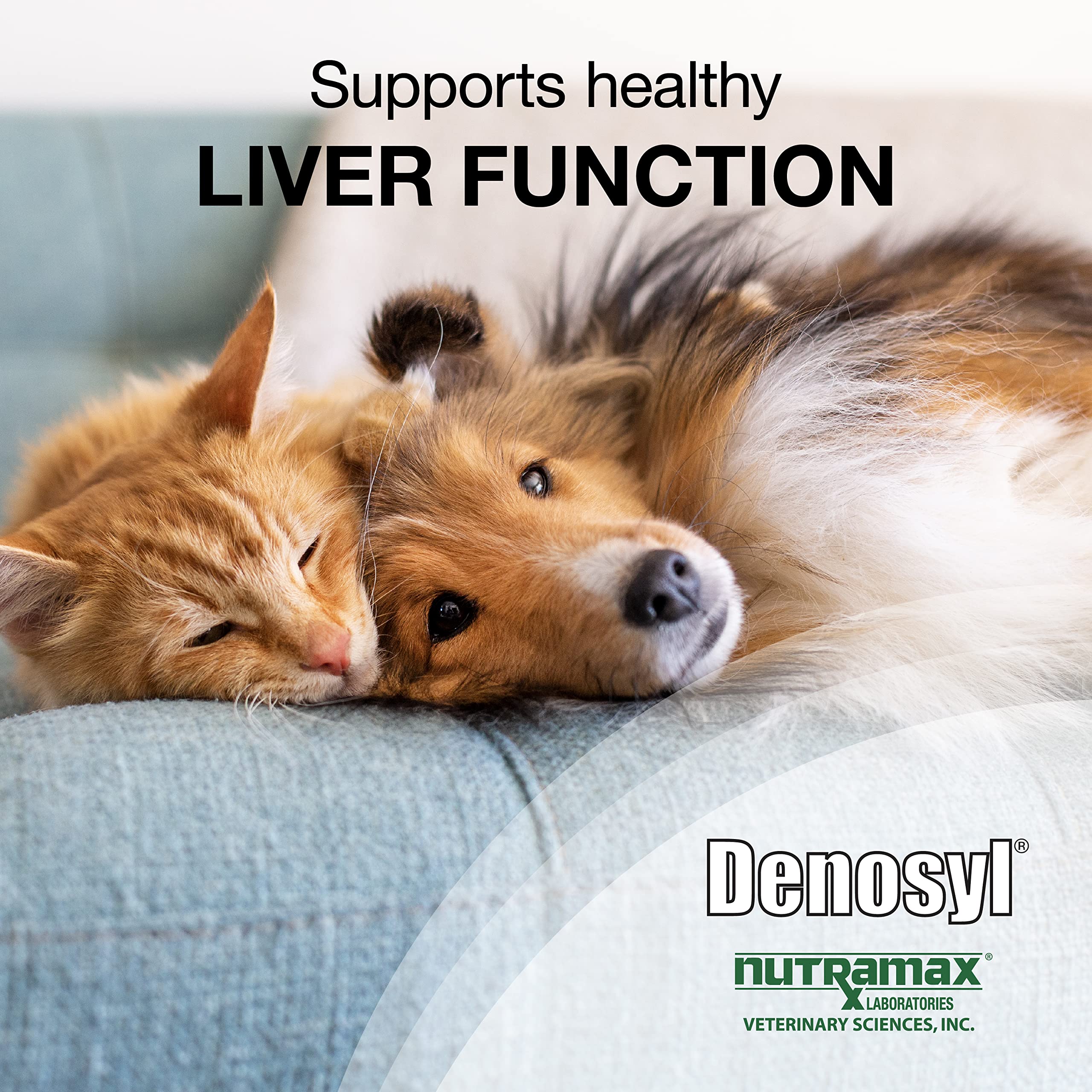 Apoyo cognitivo potencial para perros gracias a Denosyl de Nutramax.