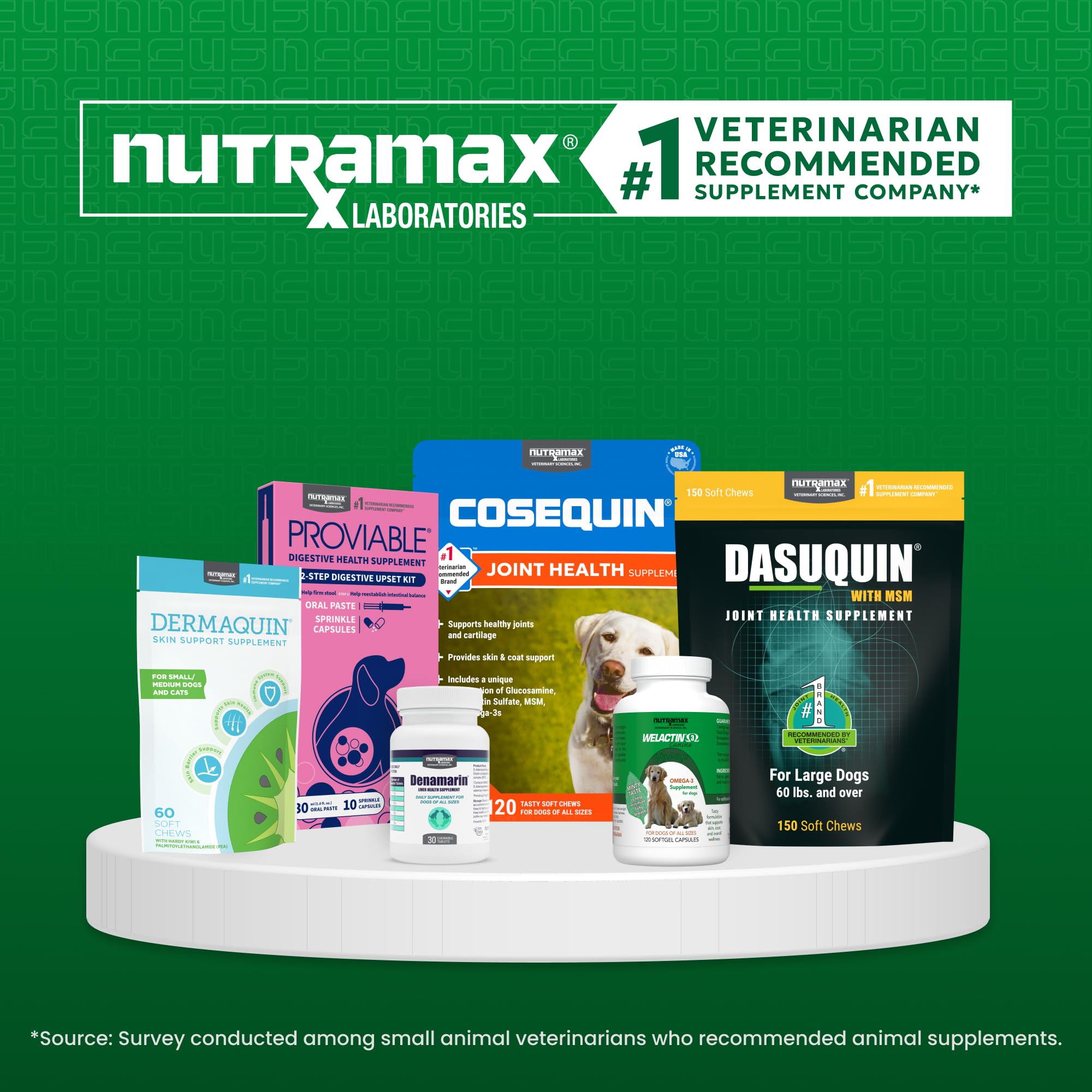 Nutramax Dermaquin perro grande en juego, apoyo a la piel saludable.