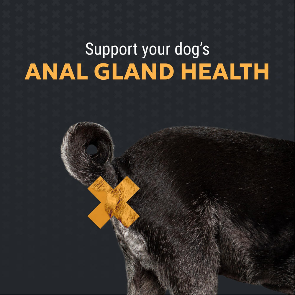 Filaquin Nutramax ofrece apoyo a las glándulas anales de perros.