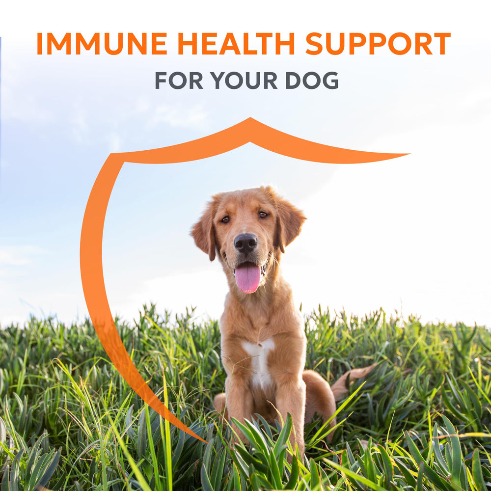 Nutramax Imuquin beta-glucanos, apoyo al sistema inmune.