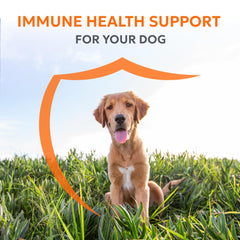 Nutramax Imuquin beta-glucanos, apoyo al sistema inmune.