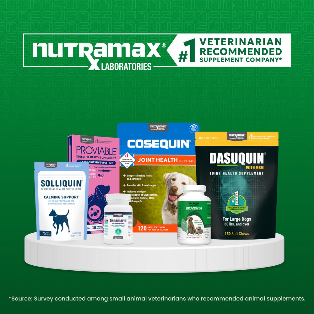 Nutramax Imuquin paquetes 30 sobres, plan de suplementación estable.