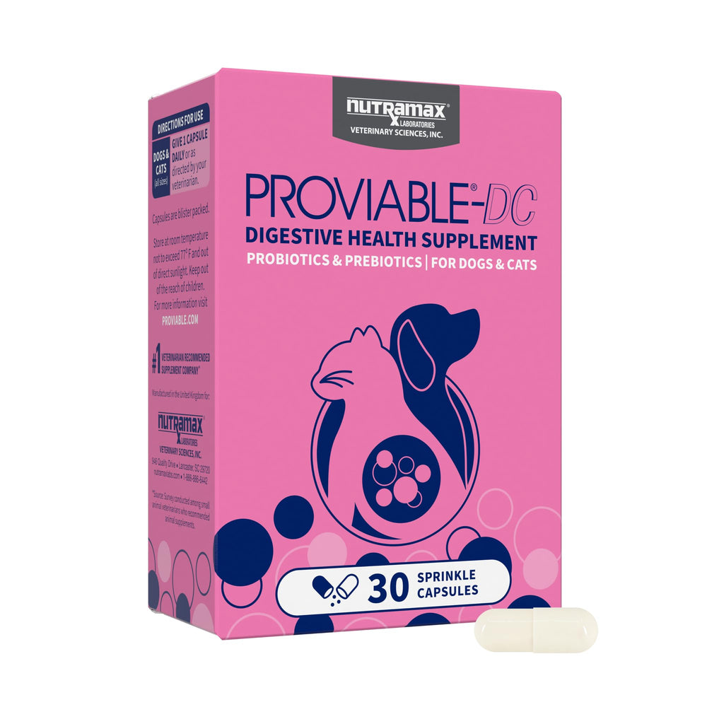 Nutramax Proviable: botella de cápsulas para perros y gatos, apoyo al equilibrio intestinal.