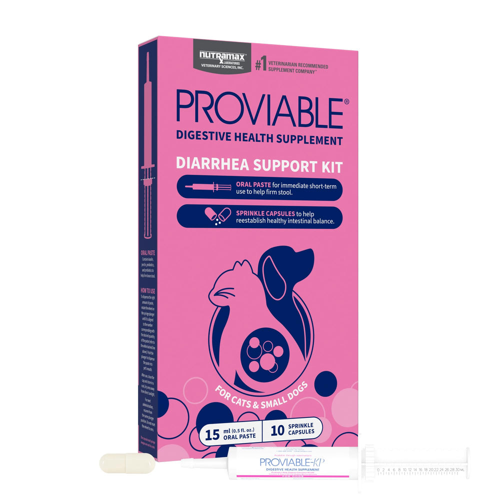 Nutramax Proviable: pasta oral de 15 ml para apoyo digestivo.