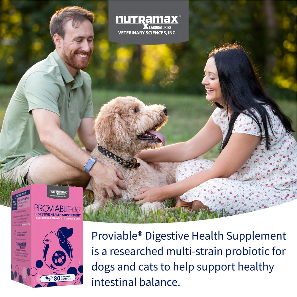 Nutramax Proviable: tabletas masticables para administrar fácilmente