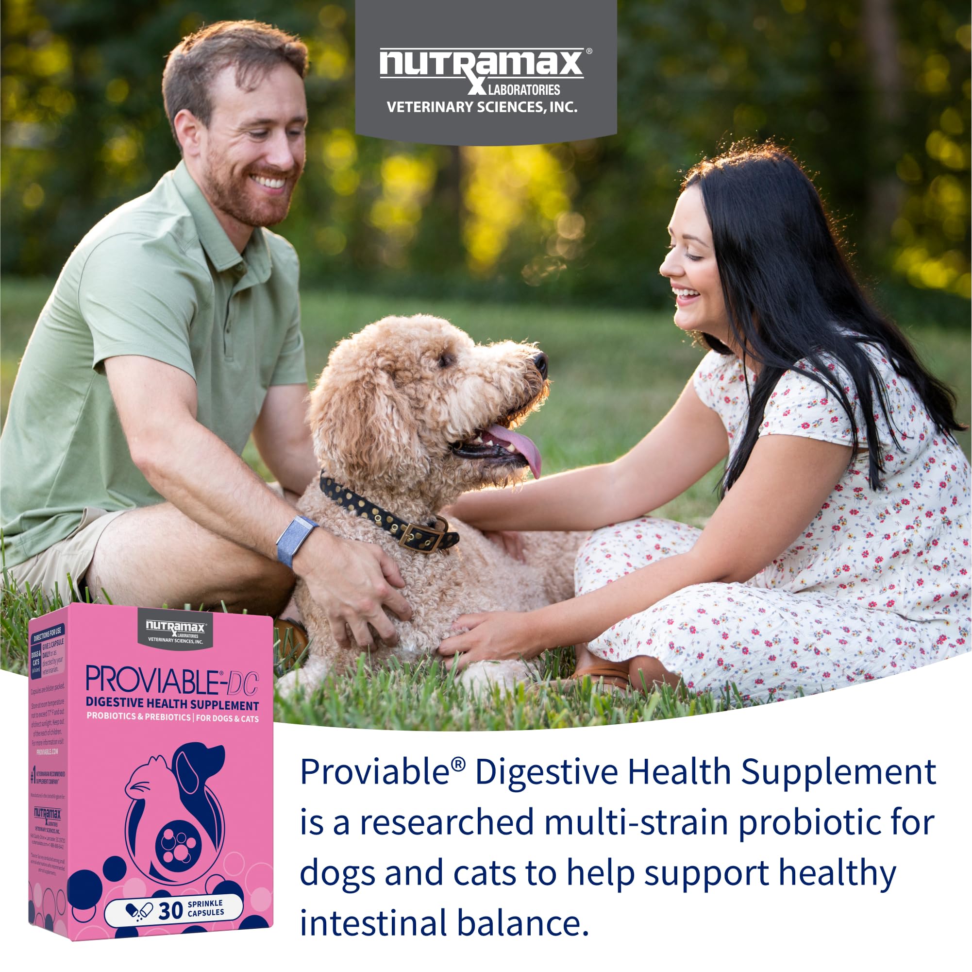 Nutramax Proviable tabletas masticables para facilitar la administración diaria y apoyar el equilibrio intestinal.