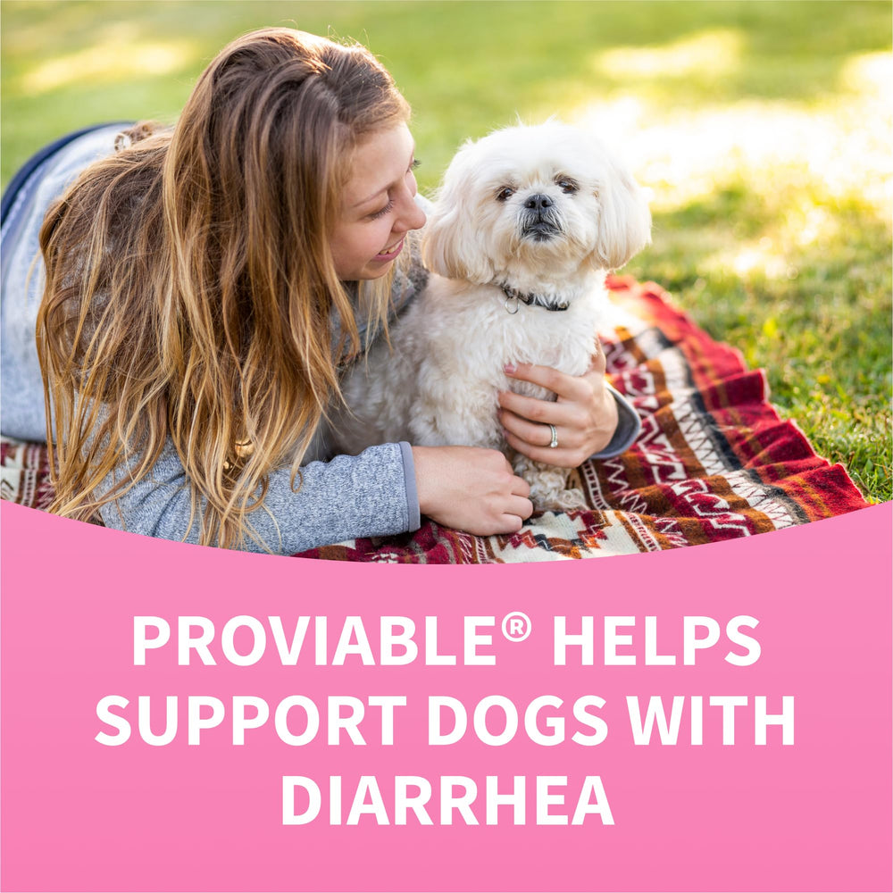 Nutramax Proviable: recomendado por veterinarios para la salud intestinal.