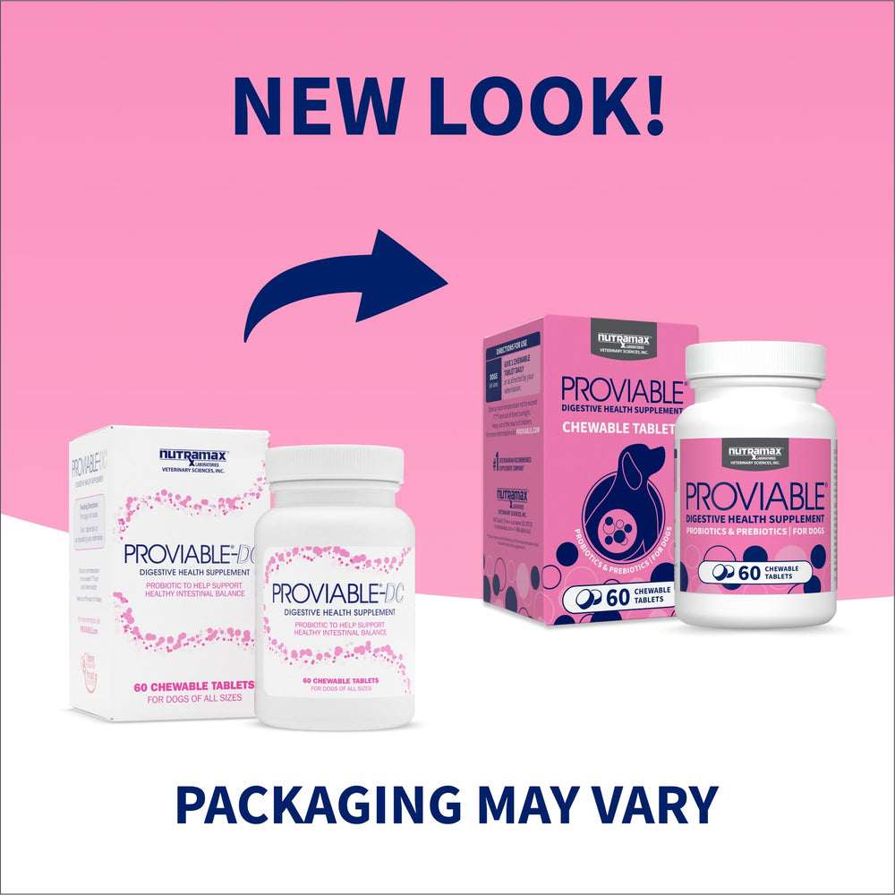Nutramax Proviable: tabletas masticables para perros, sabor agradable para administración.